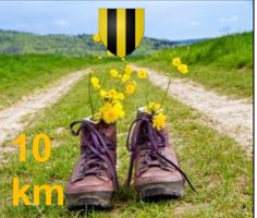 chaussures de marche